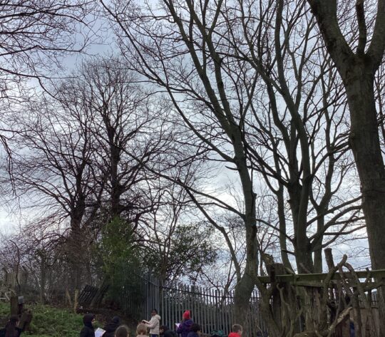 Y5 British Science Day (39)
