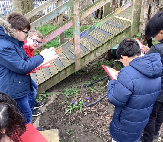 Y5 British Science Day (43)