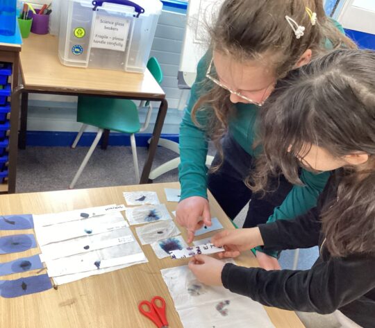 Y5 British Science Day (82)