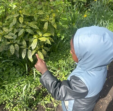 11eb13d8 714e 4b85 abf5 b048fefdb7fa