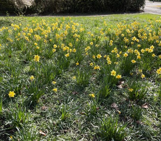 20260325 095206411 iOS