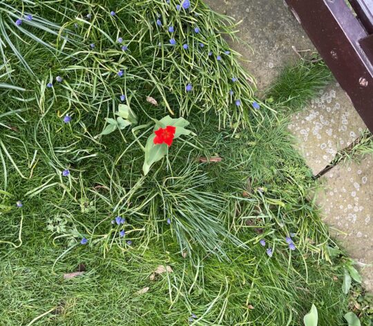 20260325 133448358 iOS