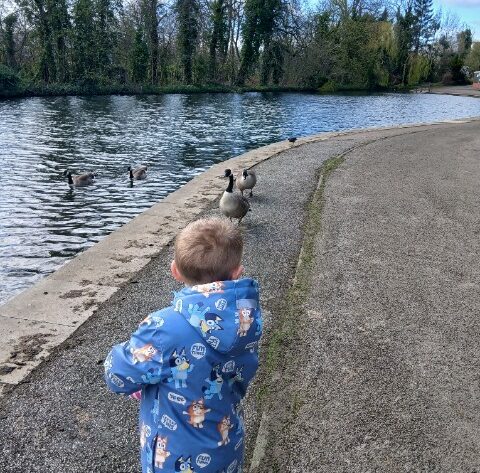 7a9bae8b 6e51 4cc2 847b d03cdf970870