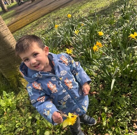 f49d24fc 8d40 4ee6 ad96 c1ff3500eeb1