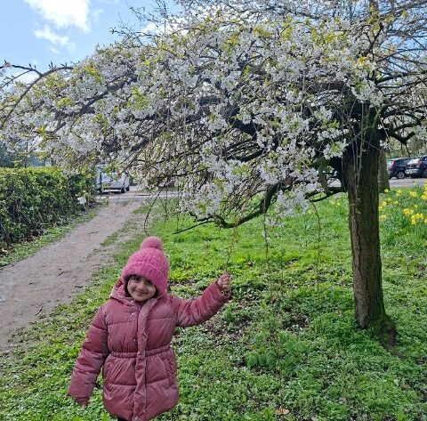 fef13faa 56ae 46d3 a9a5 2474aebf79b1